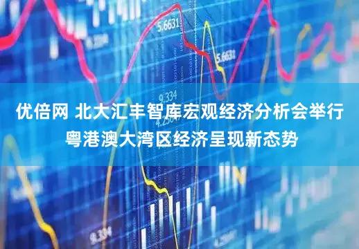 优倍网 北大汇丰智库宏观经济分析会举行 粤港澳大湾区经济呈现新态势