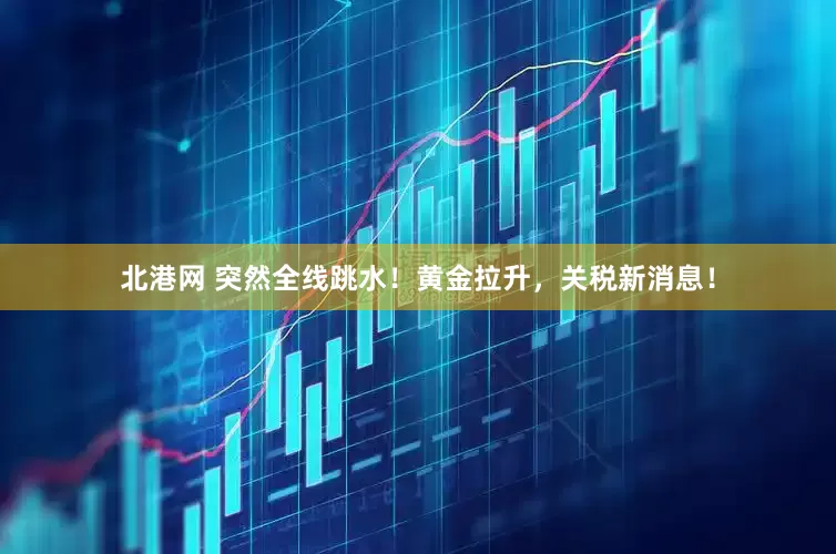 北港网 突然全线跳水！黄金拉升，关税新消息！