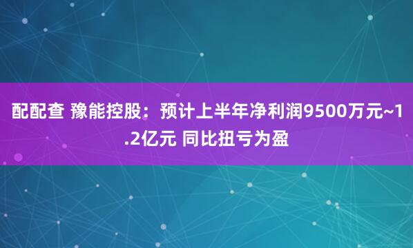 配配查 豫能控股：预计上半年净利润9500万元~1.2亿元 同比扭亏为盈