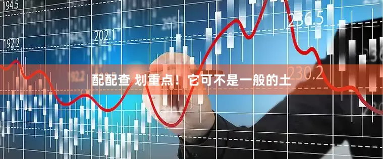 配配查 划重点！它可不是一般的土