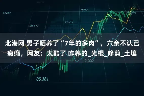 北港网 男子晒养了“7年的多肉”，六亲不认已疯癫，网友：太酷了 咋养的_光棍_修剪_土壤