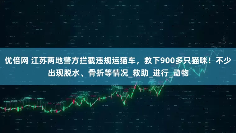 优倍网 江苏两地警方拦截违规运猫车，救下900多只猫咪！不少出现脱水、骨折等情况_救助_进行_动物