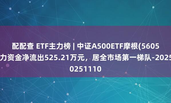 配配查 ETF主力榜 | 中证A500ETF摩根(560530)主力资金净流出525.21万元，居全市场第一梯队-20251110