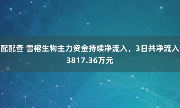 配配查 雪榕生物主力资金持续净流入，3日共净流入3817.36万元